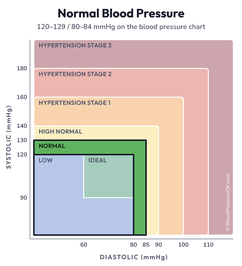 Blood pressure chart with the normal range highlighted: 120–129 systolic and/or 80–84 diastolic mmHg