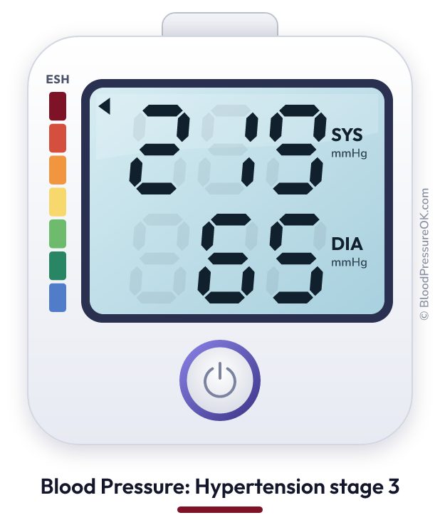 Blood pressure 219 over 65 on the blood pressure monitor