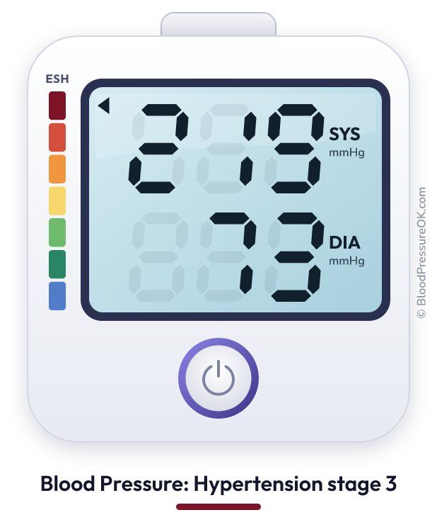 Blood pressure 219 over 73 on the blood pressure monitor
