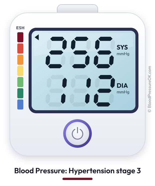 Blood pressure 256 over 112 on the blood pressure monitor