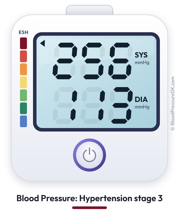 Blood pressure 256 over 113 on the blood pressure monitor