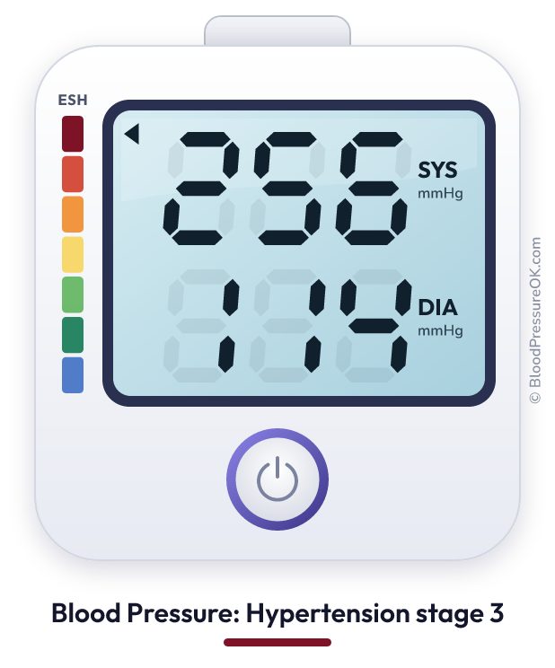 Blood pressure 256 over 114 on the blood pressure monitor