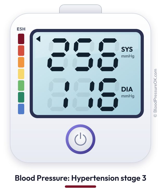 Blood pressure 256 over 116 on the blood pressure monitor