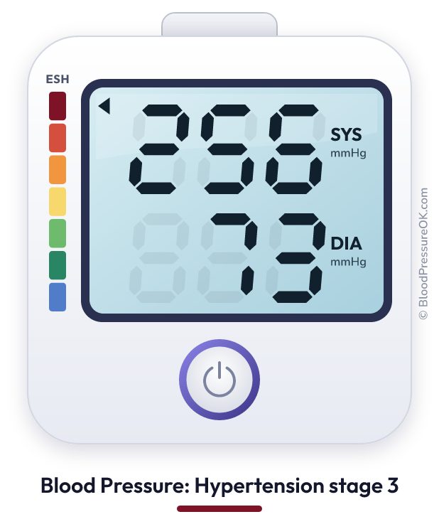 Blood pressure 256 over 73 on the blood pressure monitor