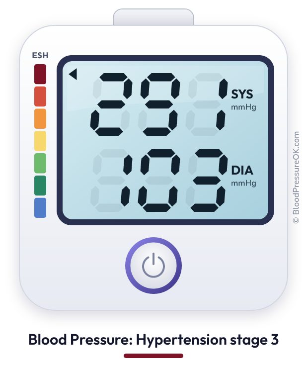 Blood pressure 291 over 103 on the blood pressure monitor